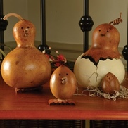 Meadowbrooke Gourds